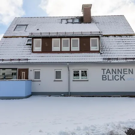 Garten Loft Im Haus Tannenblick Lofts Apartment Braunlage