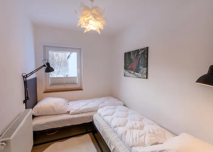 Daire Garten Loft Im Haus Tannenblick Lofts Braunlage